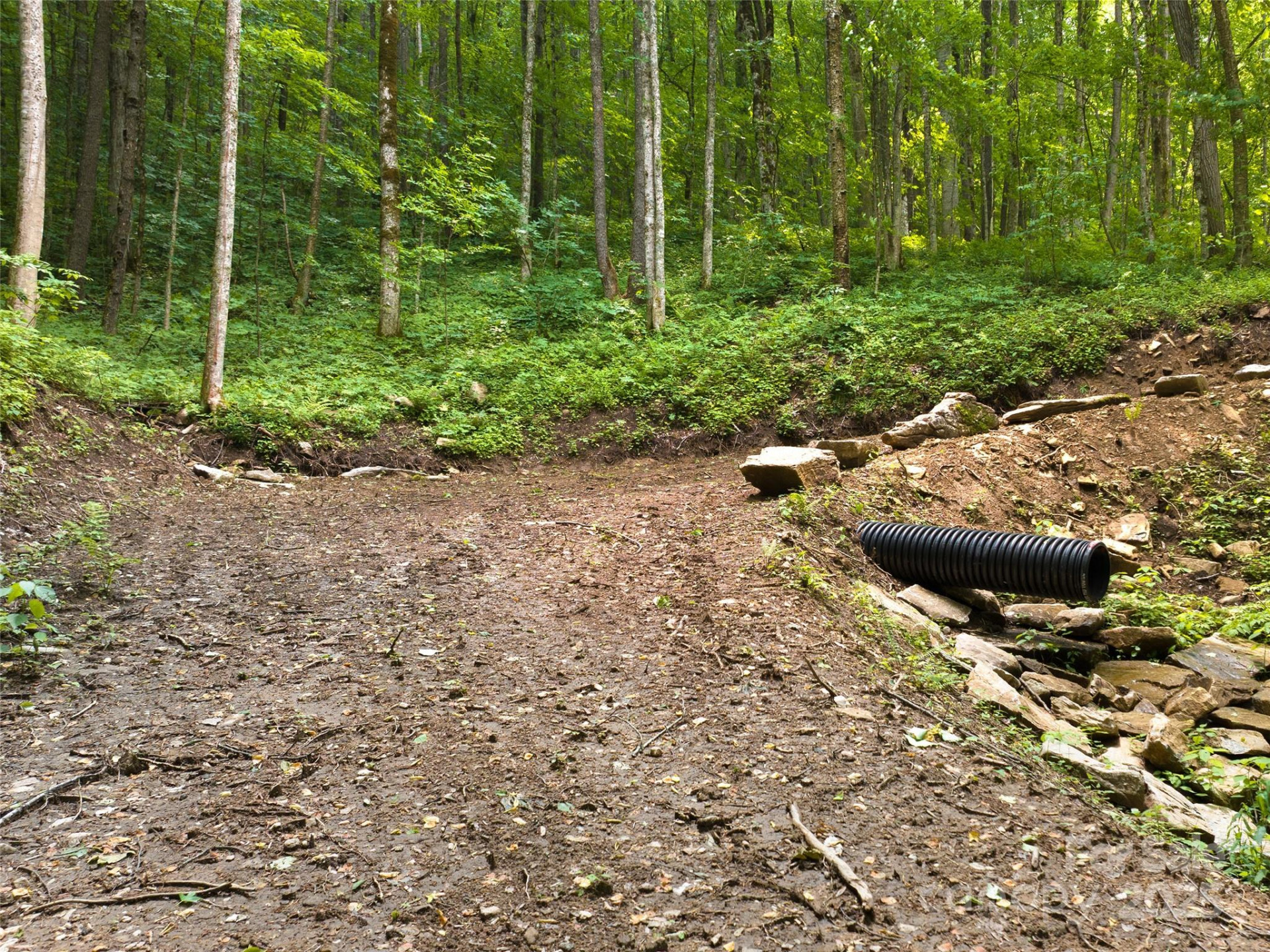 23 Forbidden Cove - Photo 5