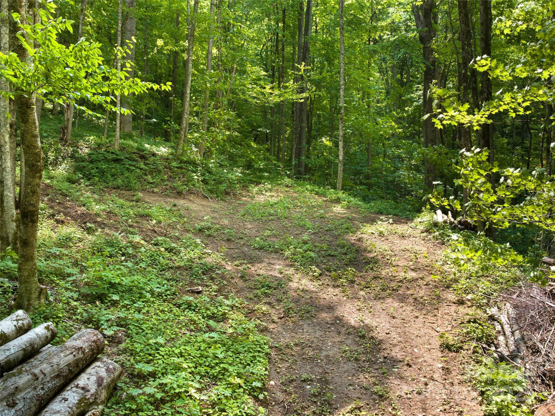 23 Forbidden Cove - Photo 6