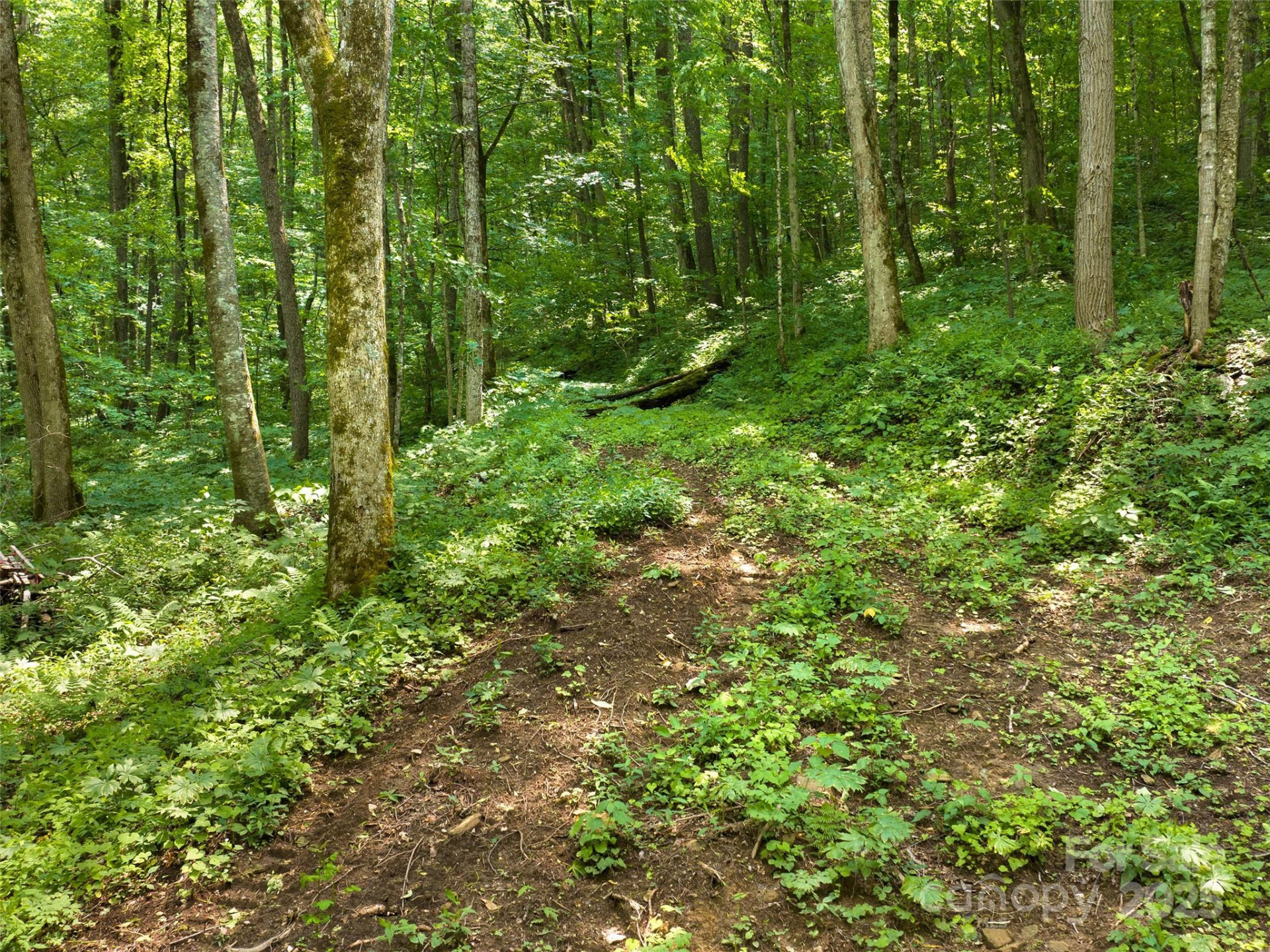 23 Forbidden Cove - Photo 7