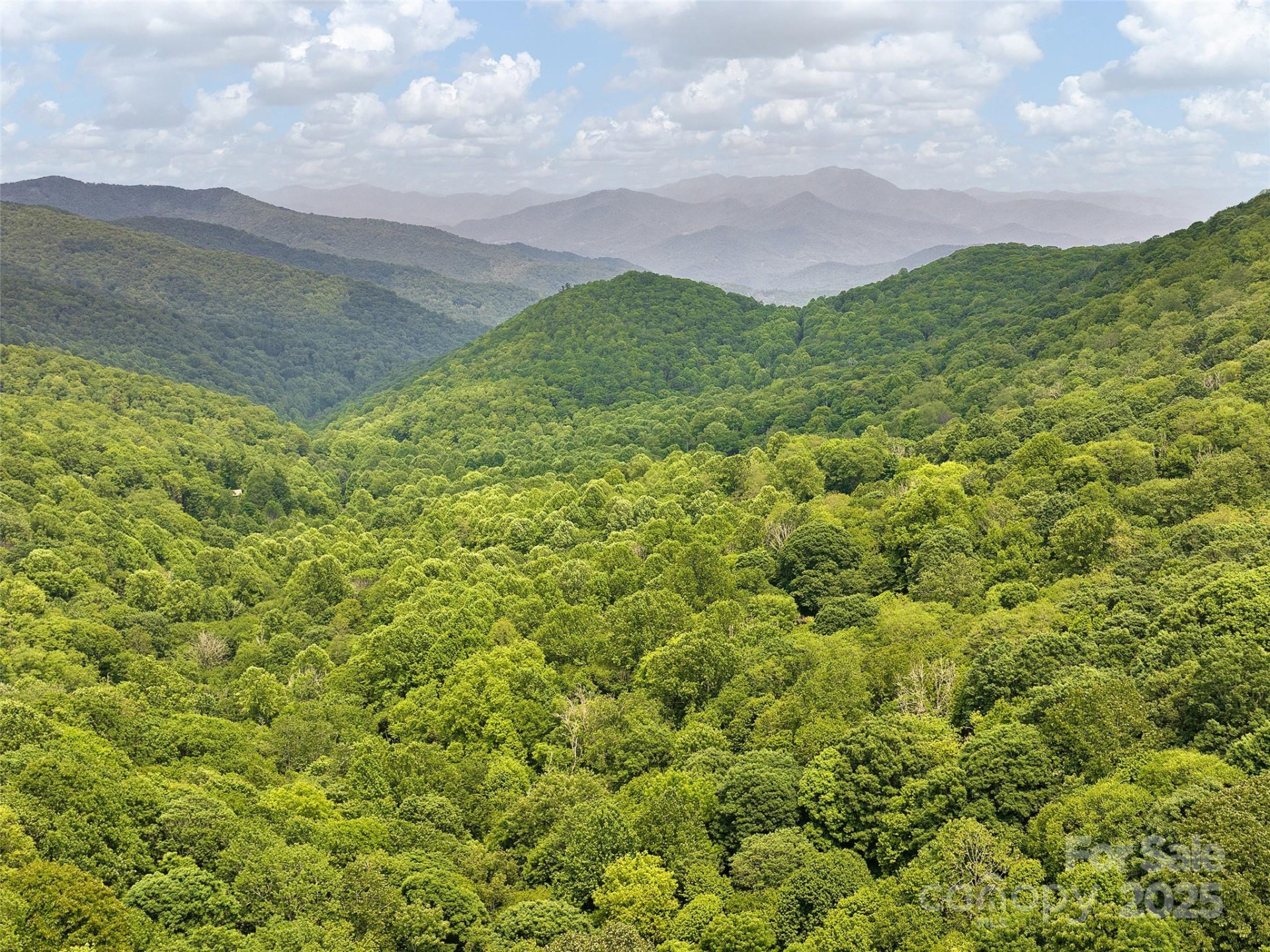 23 Forbidden Cove - Photo 8