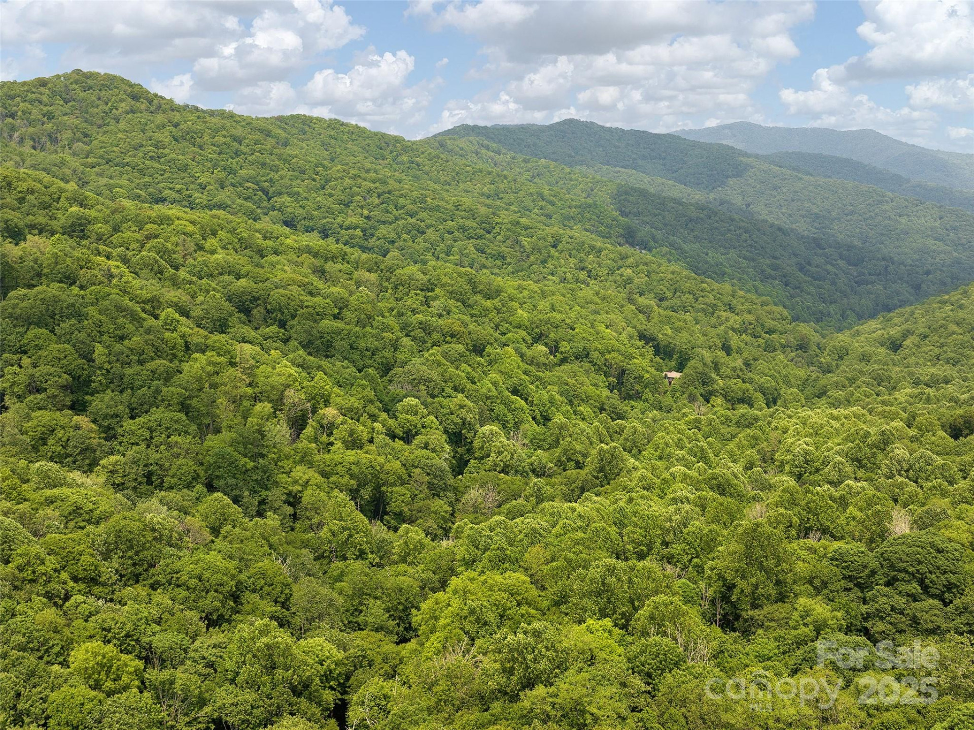 23 Forbidden Cove - Photo 9