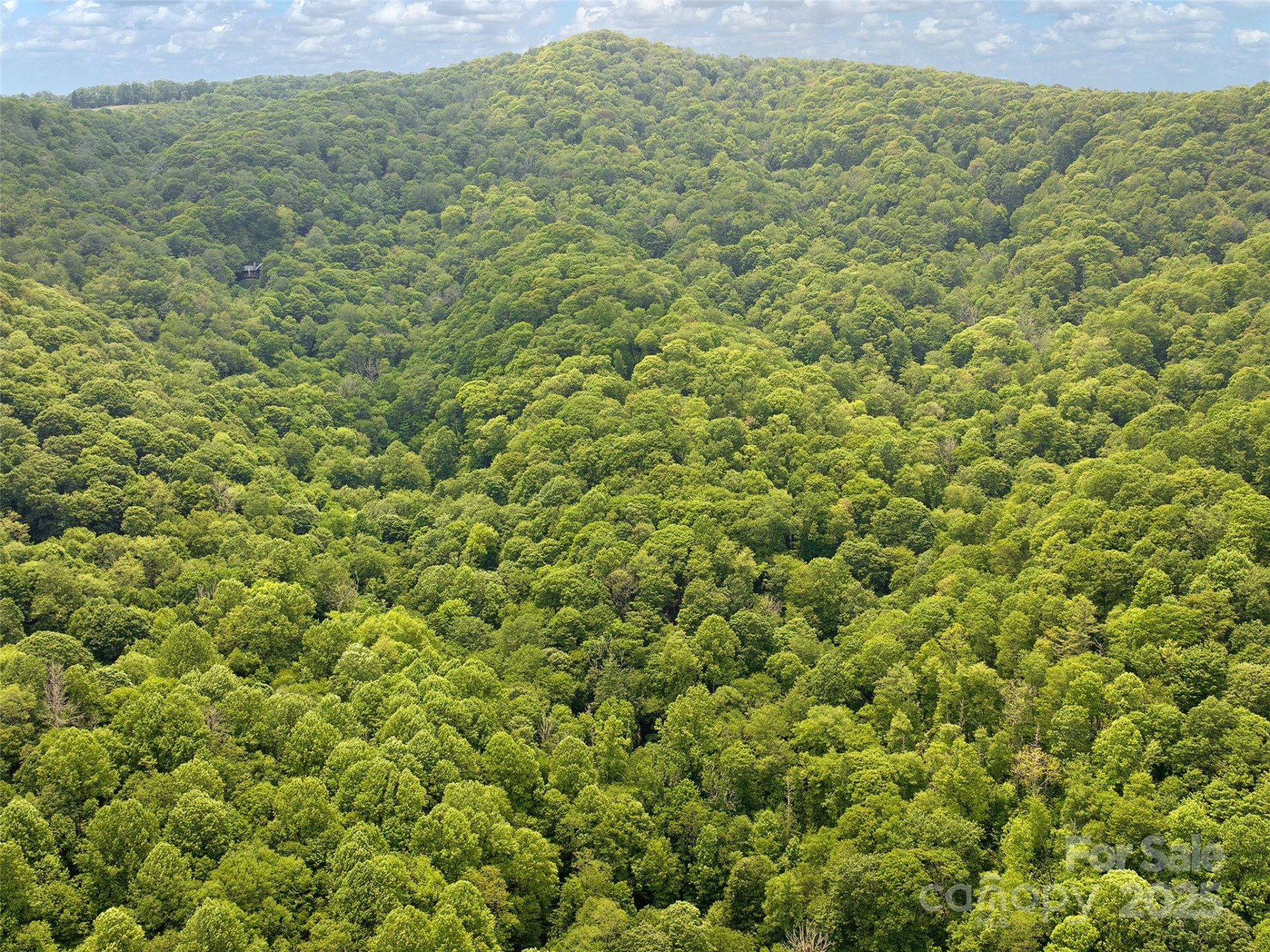 23 Forbidden Cove - Photo 10