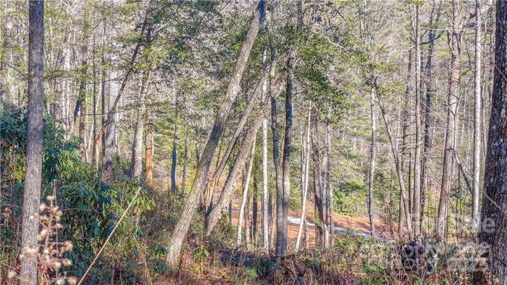 TBD Toxaway Falls Drive #TR-A - Photo 10