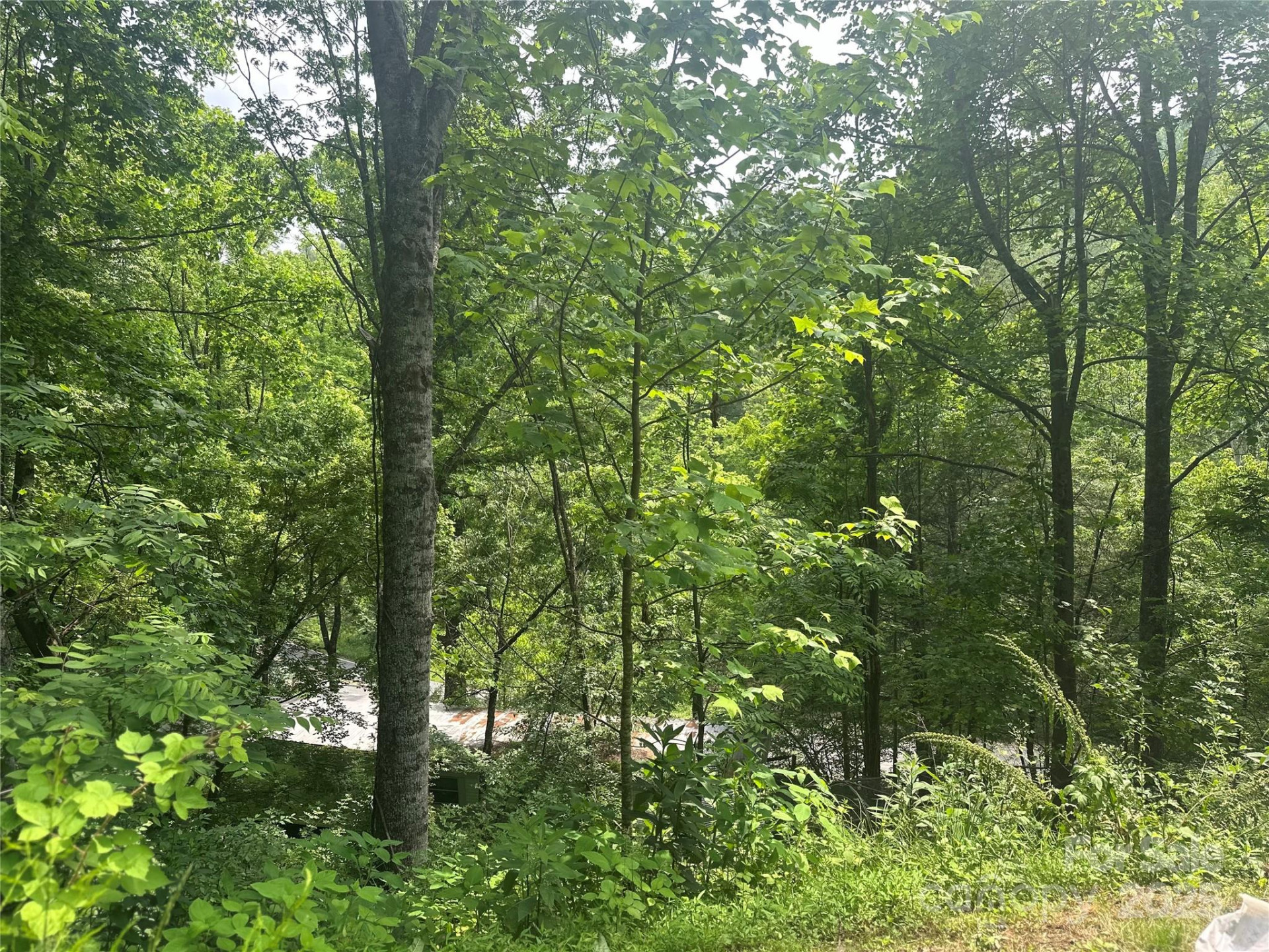 193 Green Cove Road - Photo 21