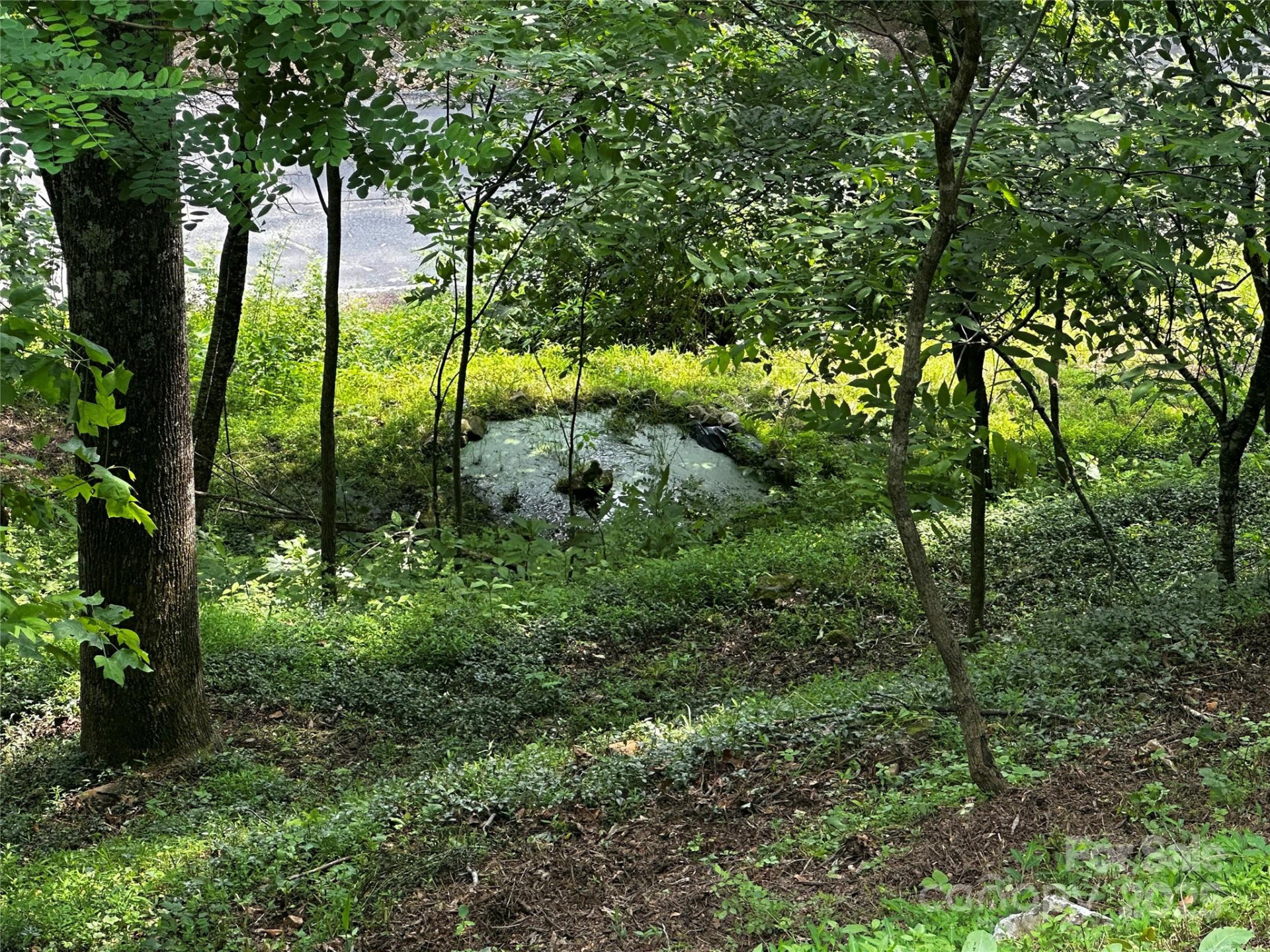 193 Green Cove Road - Photo 4