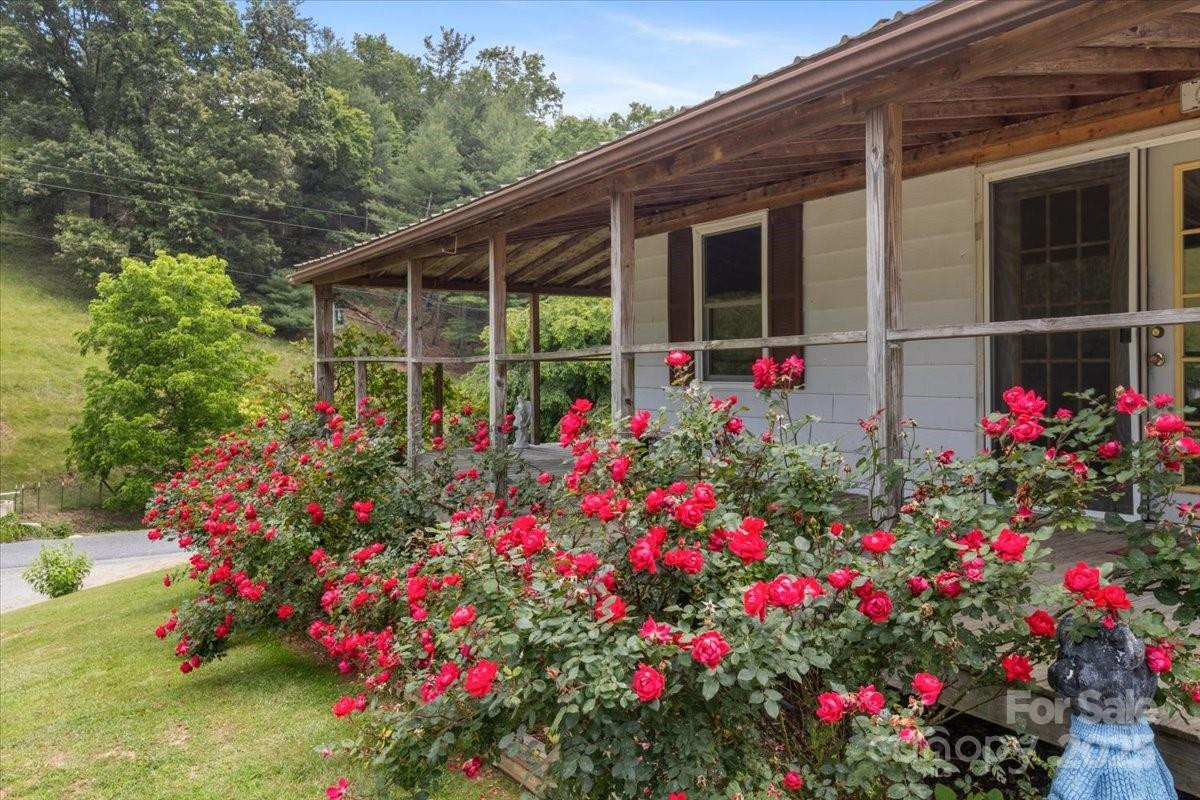 461 Tweed Road - Photo 31