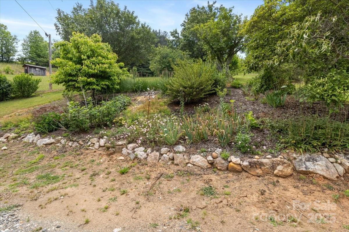 461 Tweed Road - Photo 10