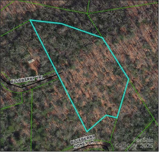 TBD Blueberry Trail #14 - Photo 2