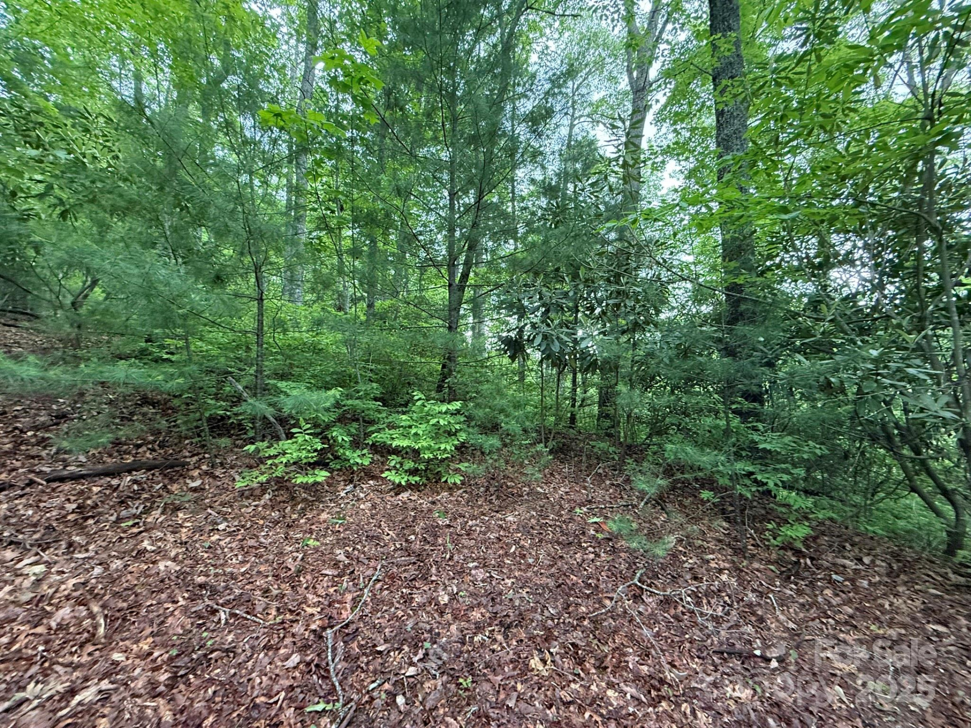 TBD Blueberry Trail #14 - Photo 4