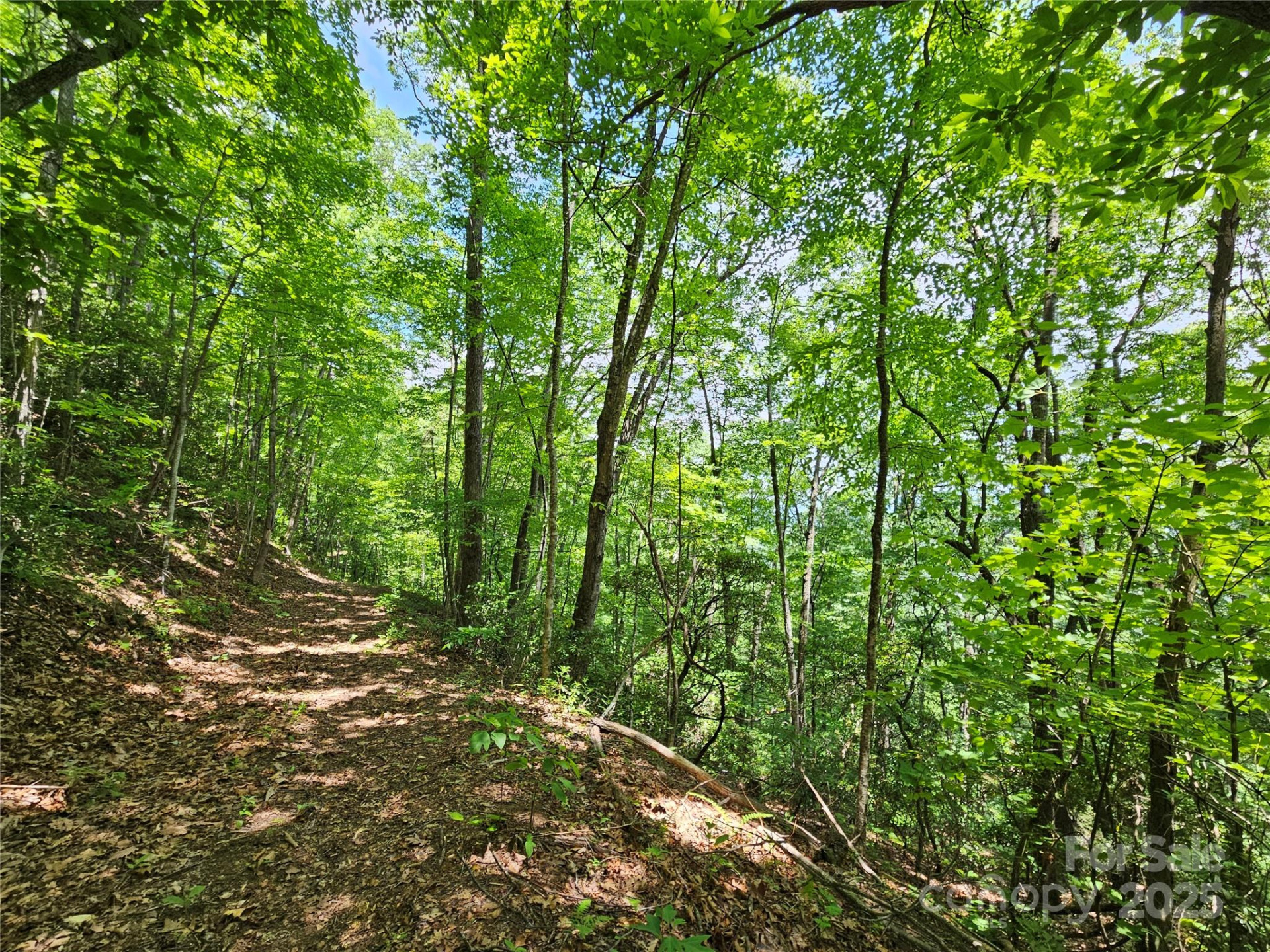 00 Laurel Ridge Road - Photo 11