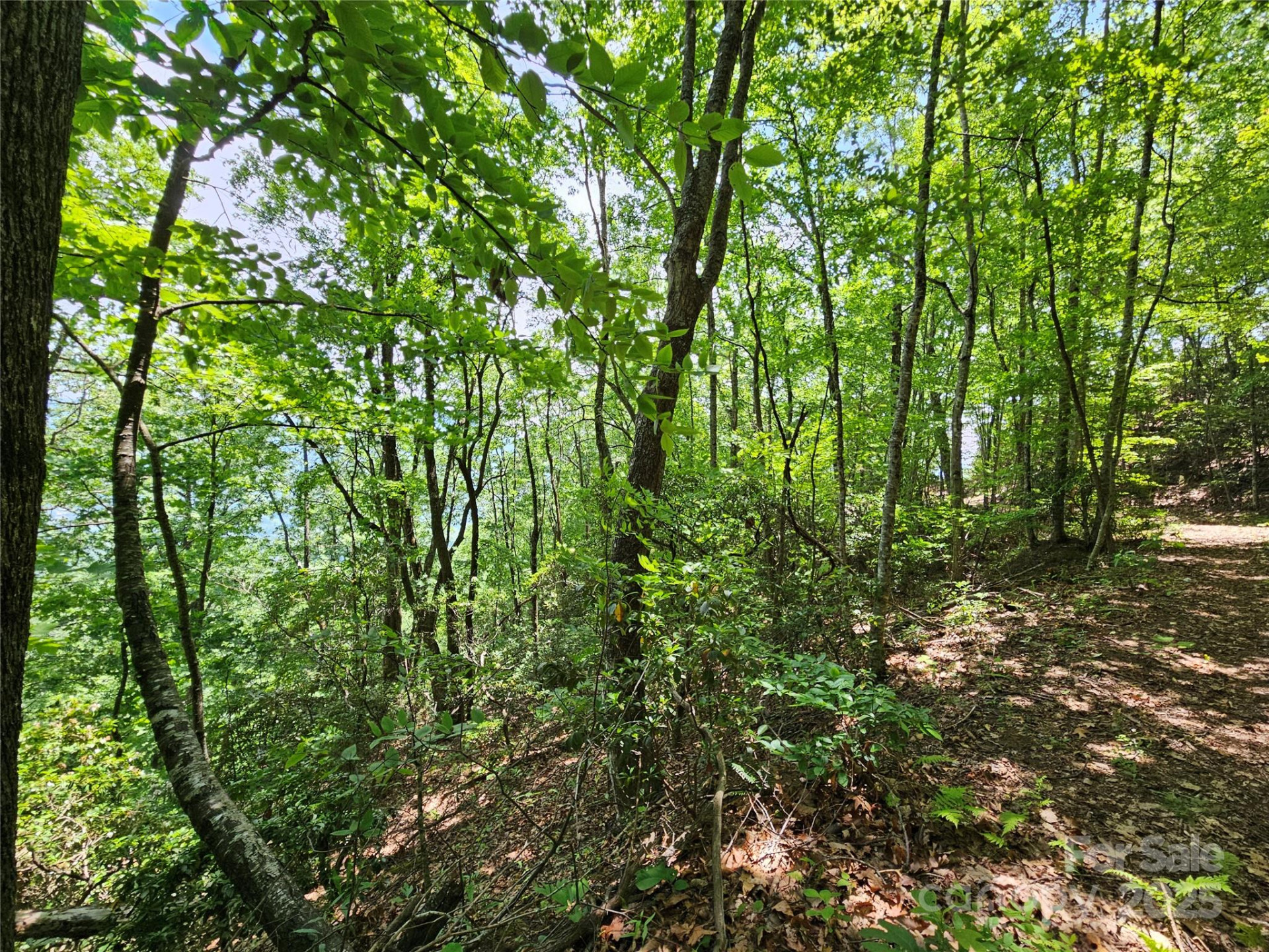 00 Laurel Ridge Road - Photo 12