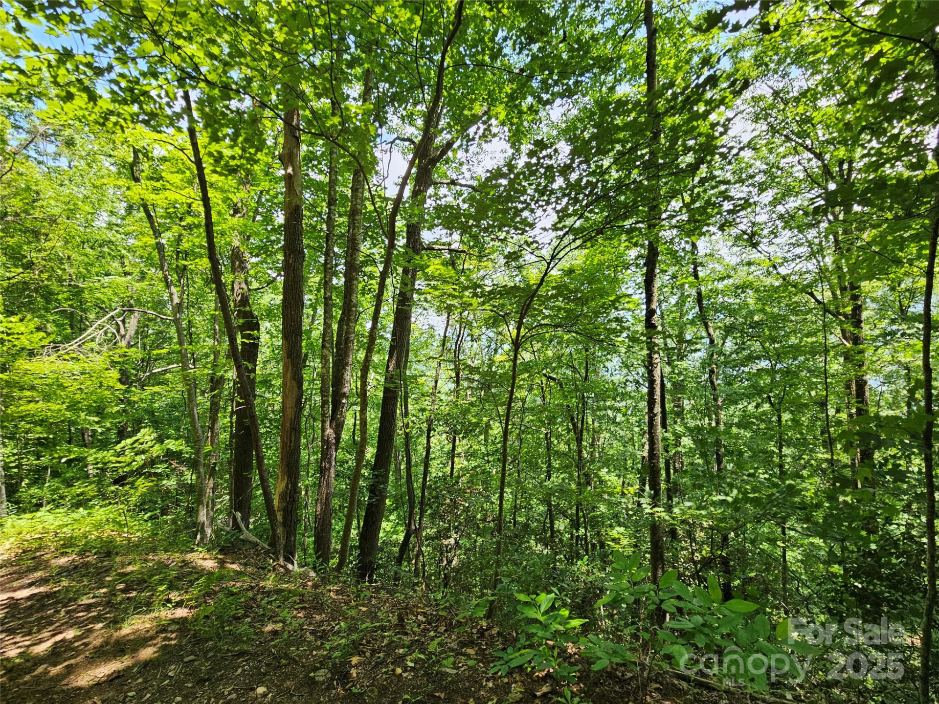 00 Laurel Ridge Road - Photo 13