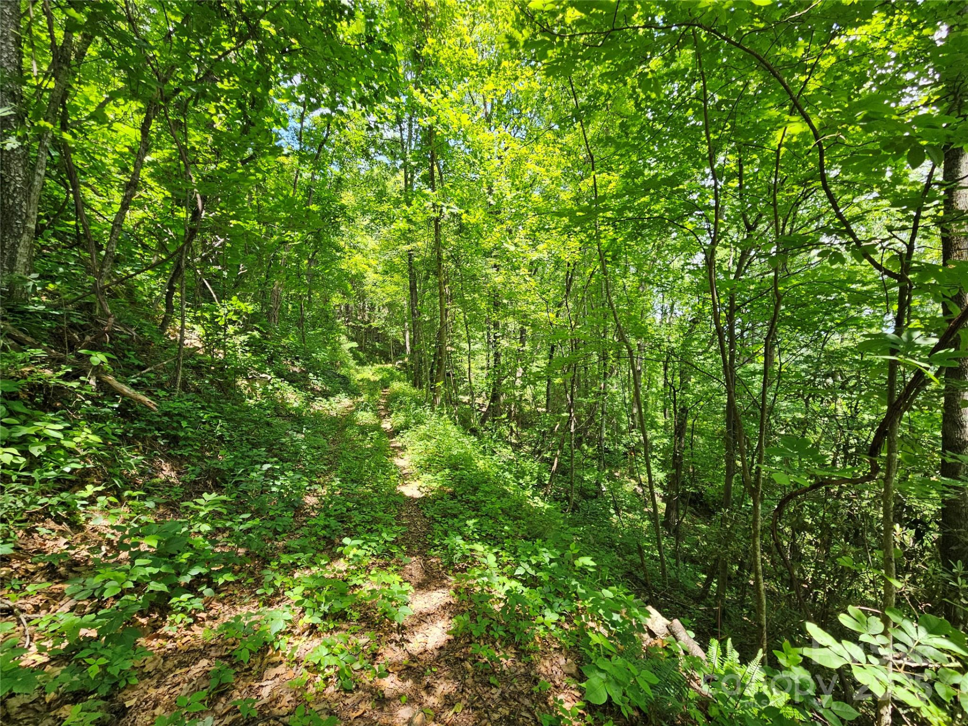 00 Laurel Ridge Road - Photo 14