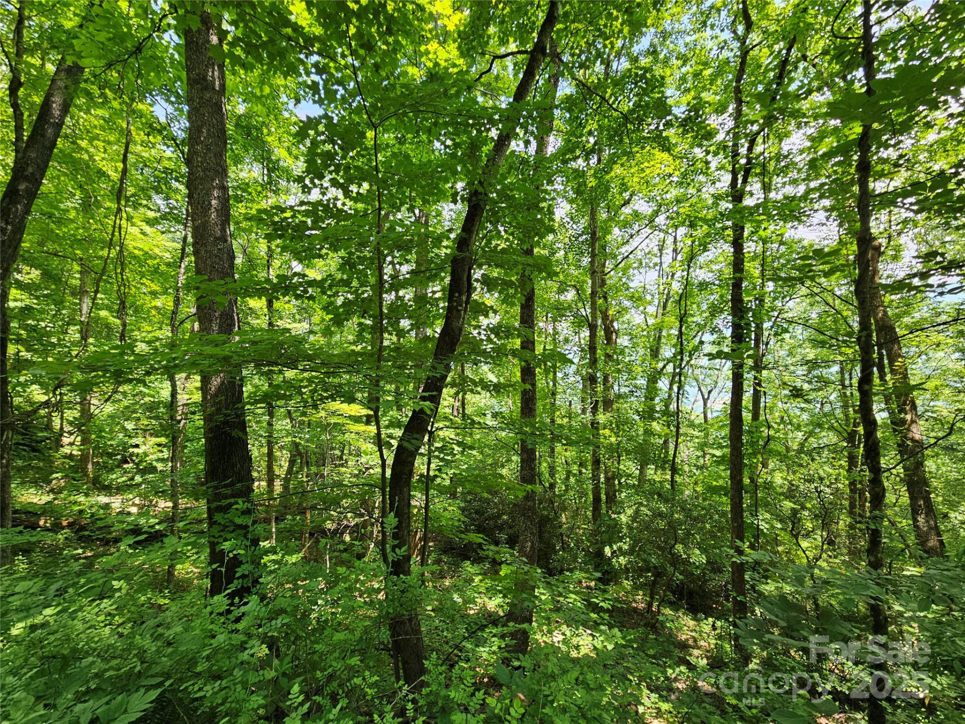 00 Laurel Ridge Road - Photo 15