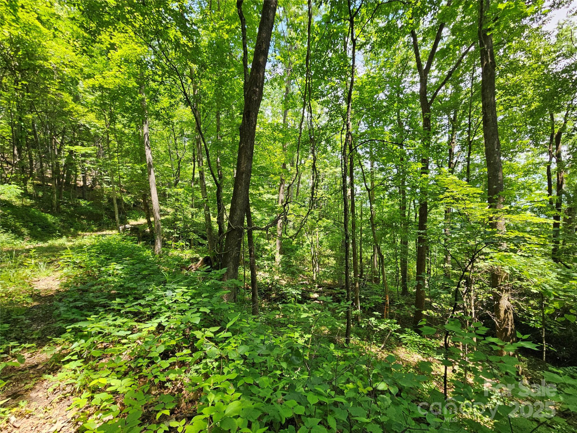 00 Laurel Ridge Road - Photo 16