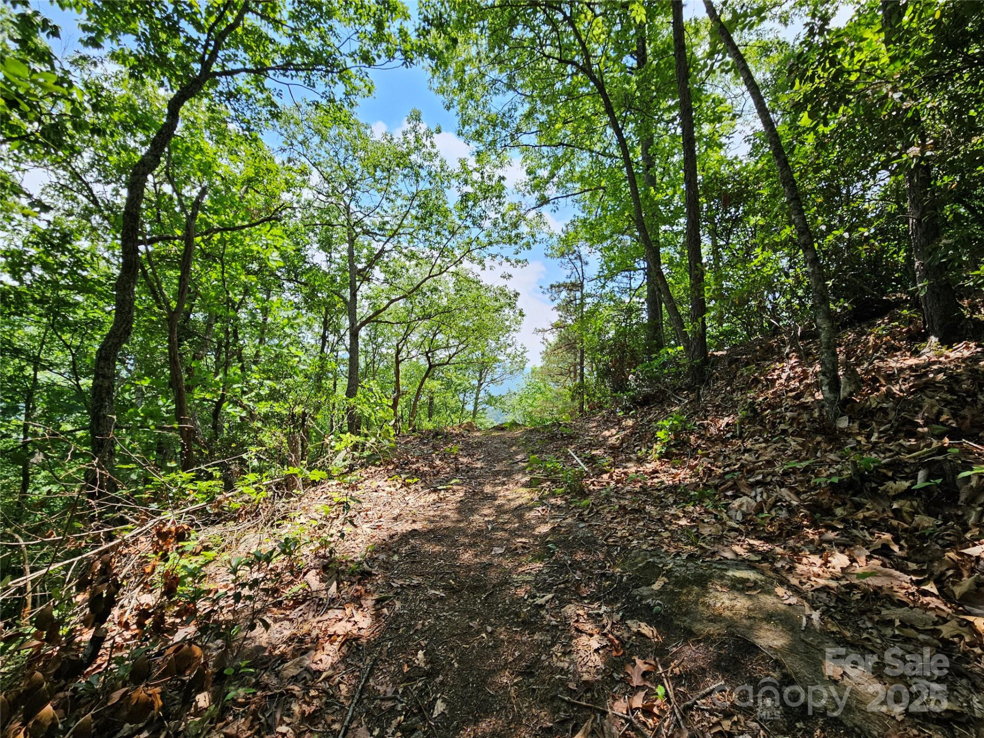 00 Laurel Ridge Road - Photo 17