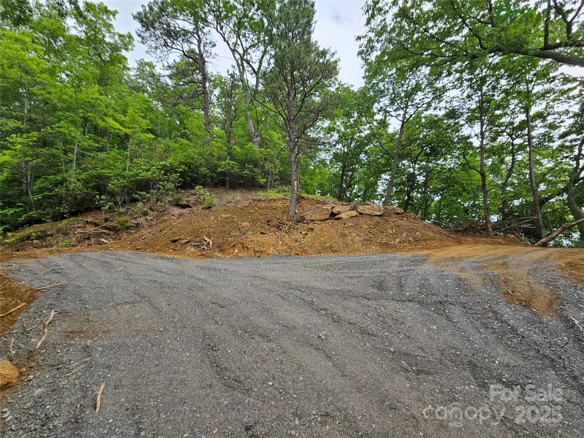 00 Laurel Ridge Road - Photo 3