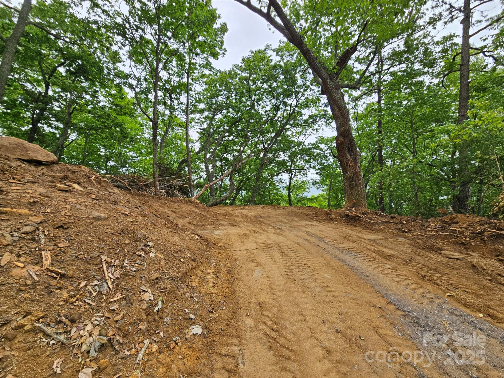 00 Laurel Ridge Road - Photo 5