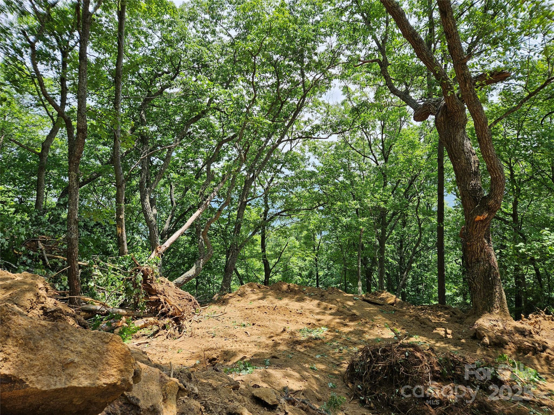 00 Laurel Ridge Road - Photo 6