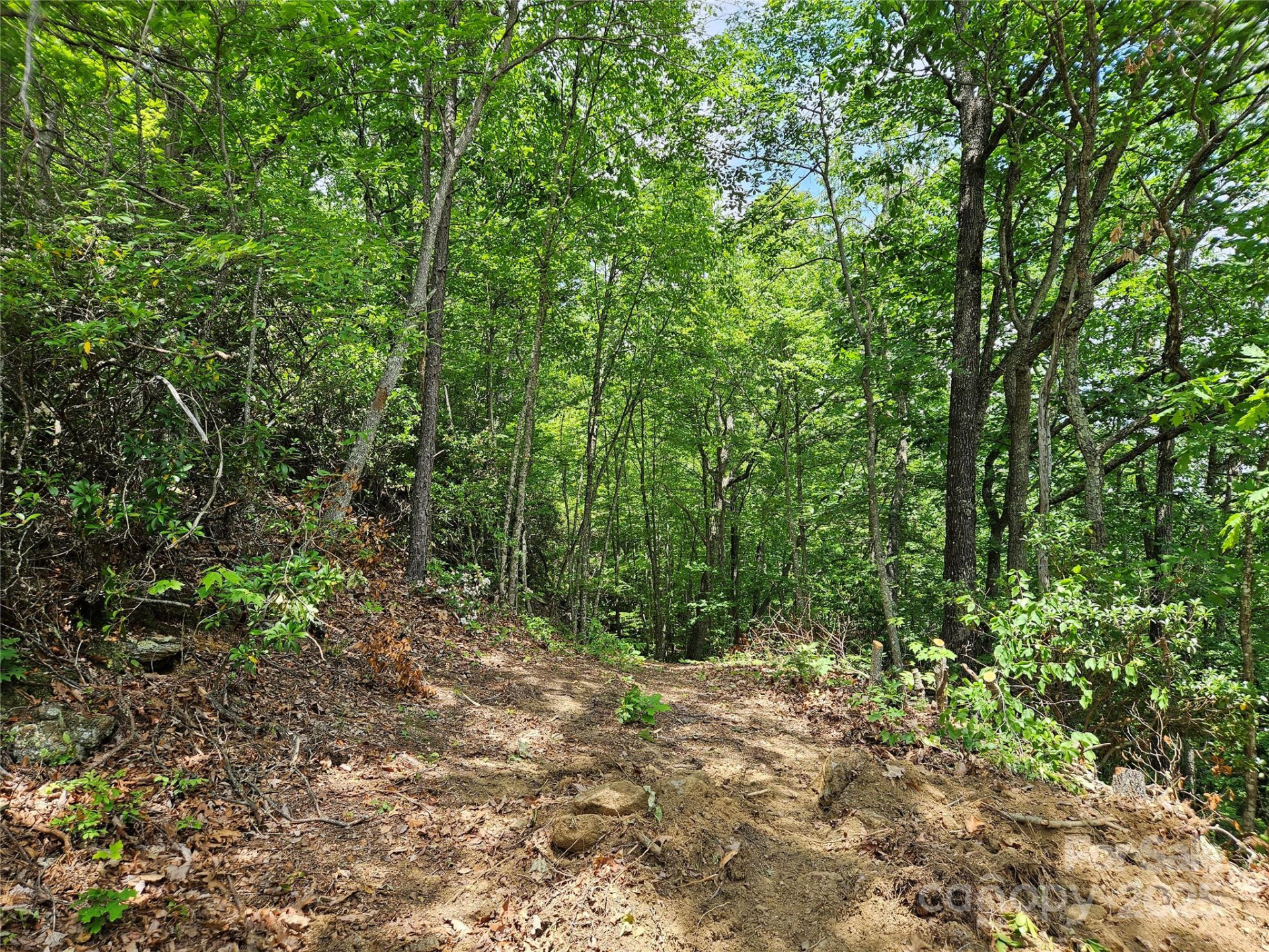 00 Laurel Ridge Road - Photo 7