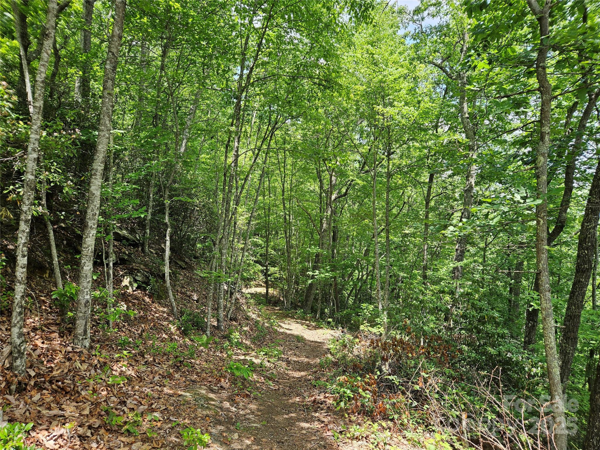 00 Laurel Ridge Road - Photo 8