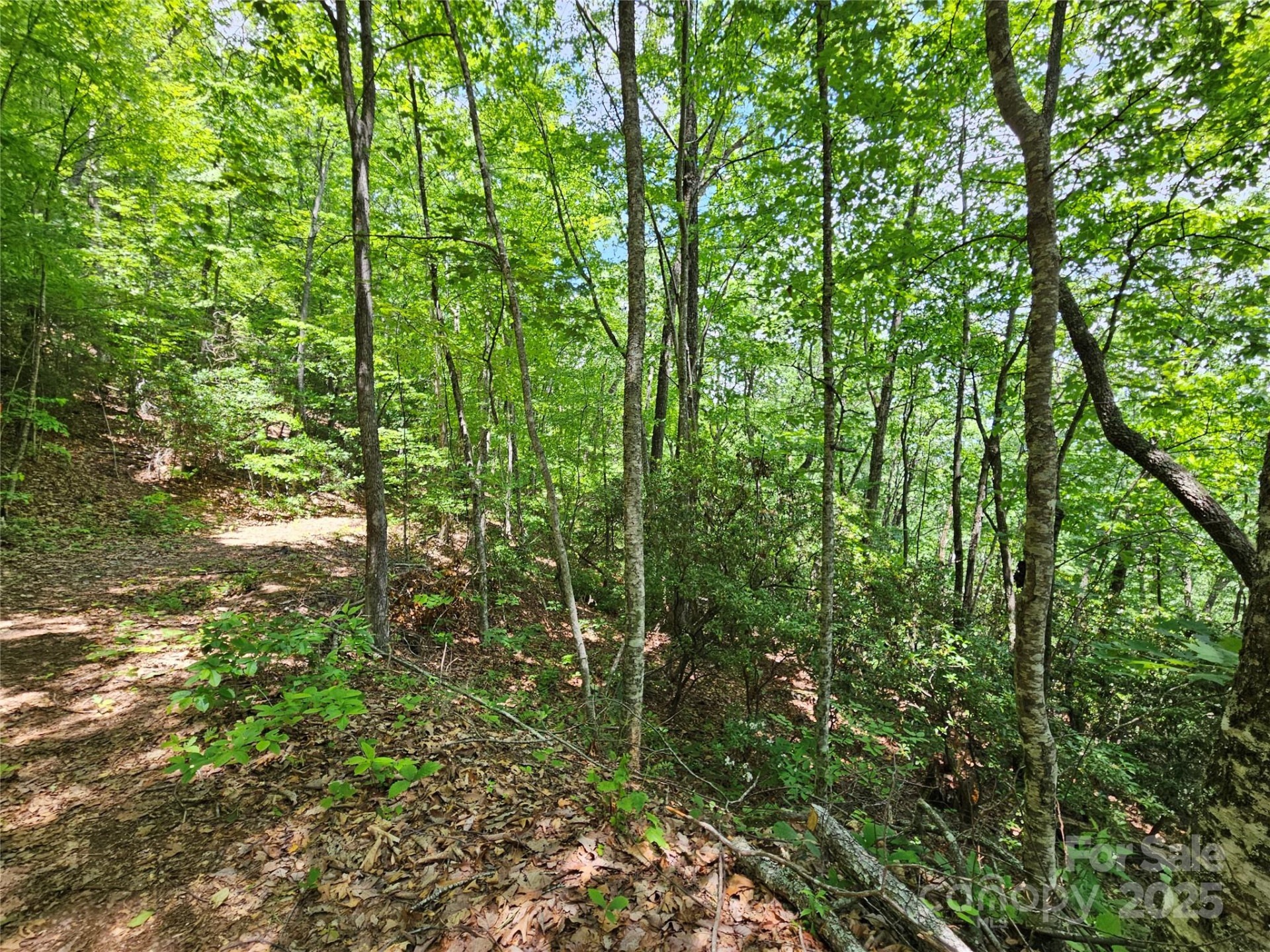 00 Laurel Ridge Road - Photo 9