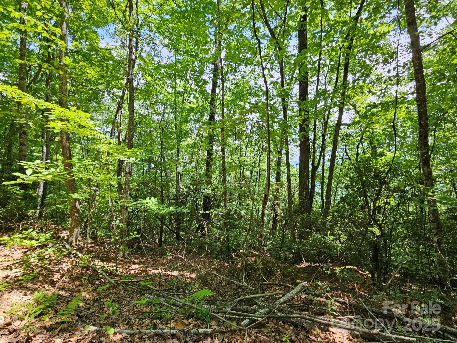 00 Laurel Ridge Road - Photo 10