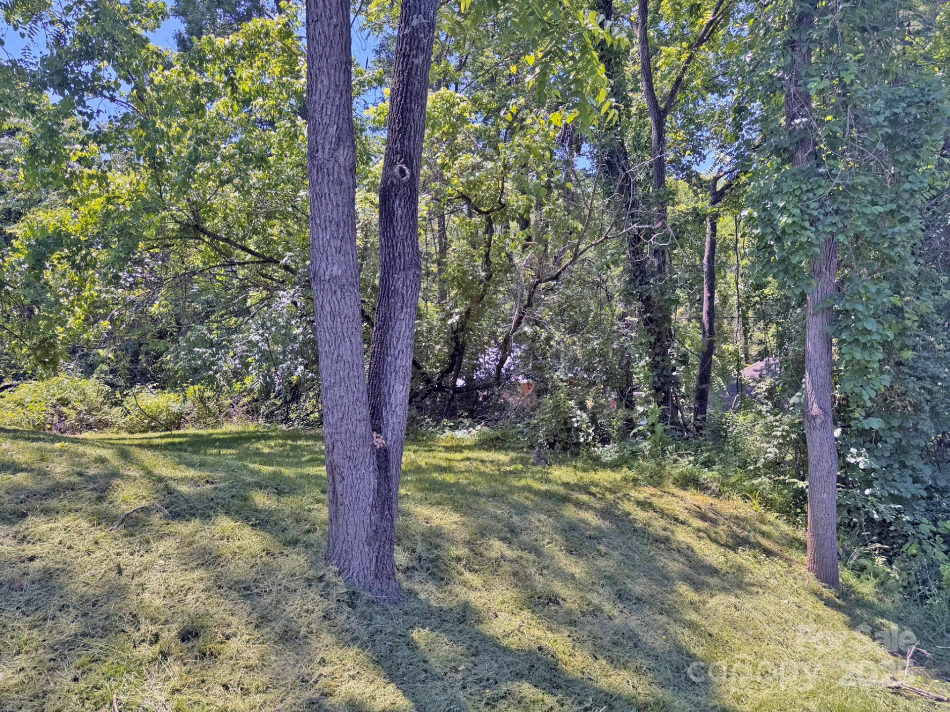 602 Brookshire Street - Photo 32