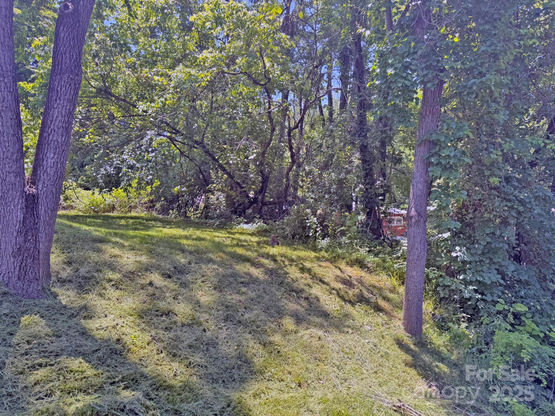602 Brookshire Street - Photo 33