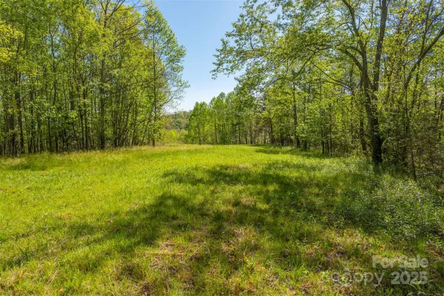 000 Thousand Oaks Drive, Old Fort, NC, 28752