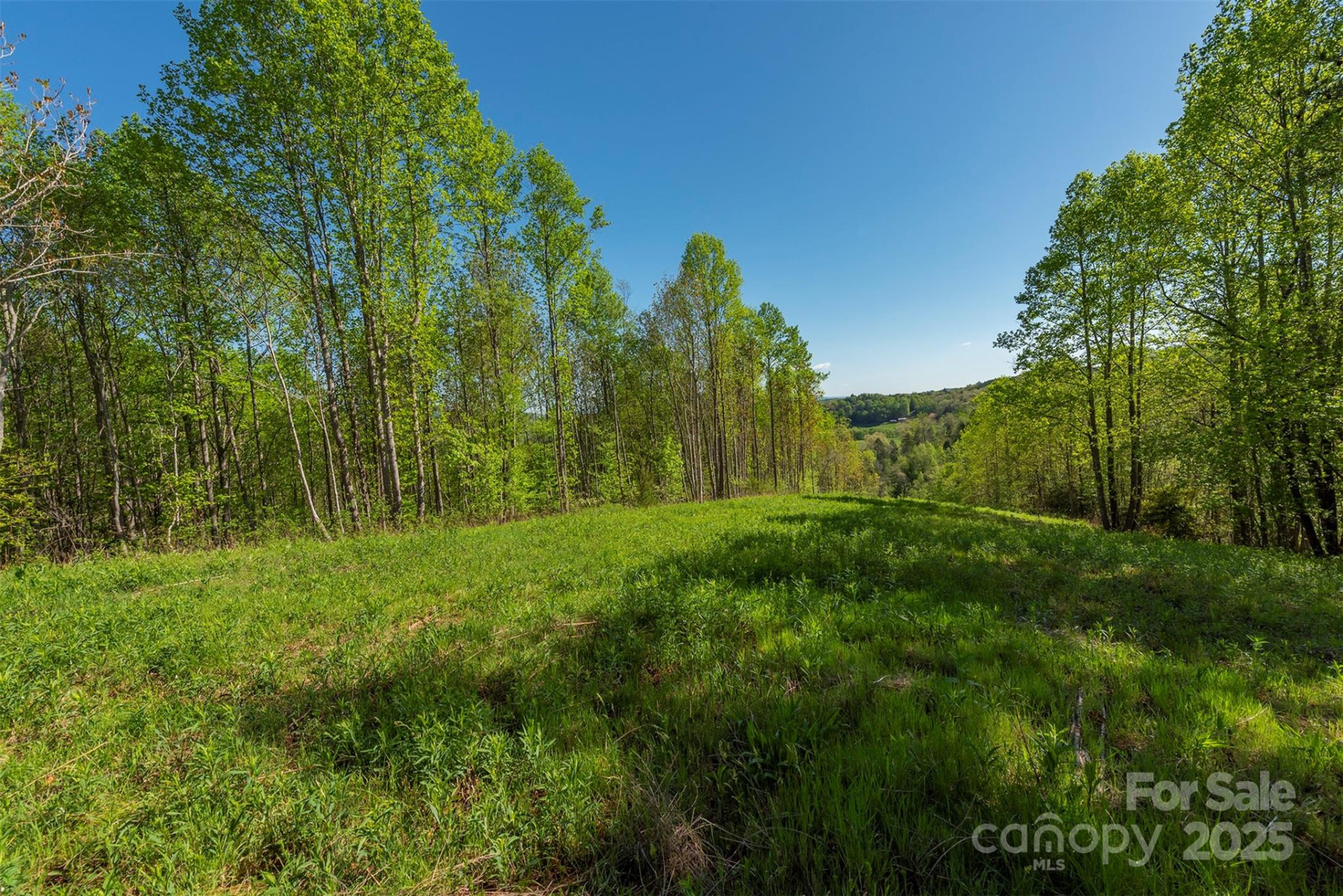 000 Thousand Oaks Drive - Photo 3