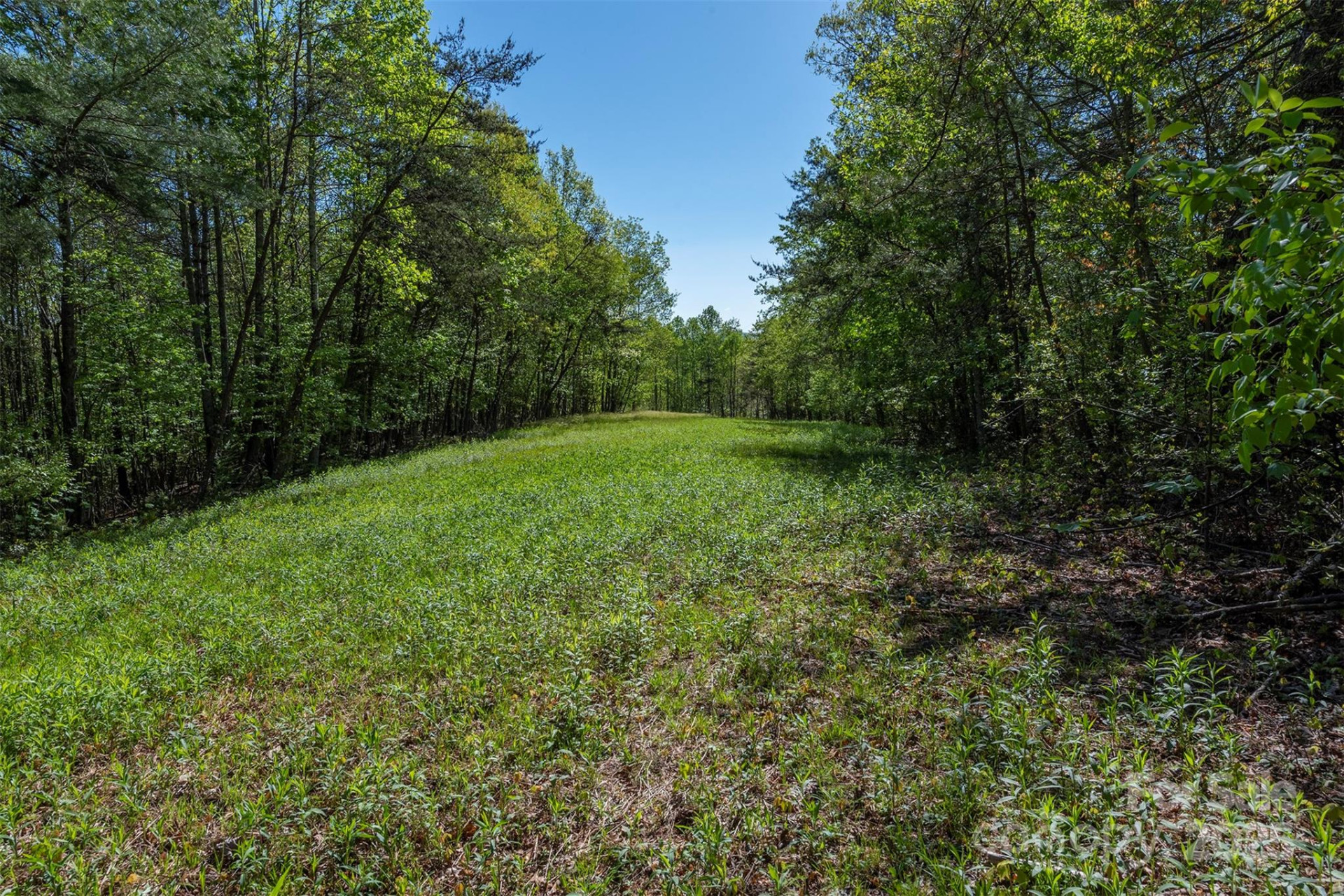 000 Thousand Oaks Drive - Photo 5