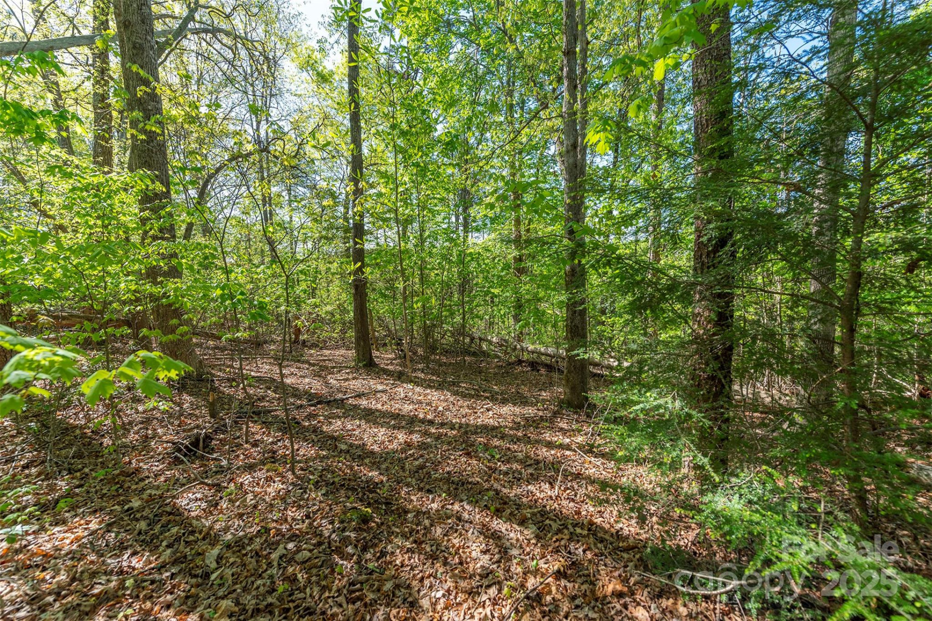 000 Thousand Oaks Drive - Photo 7