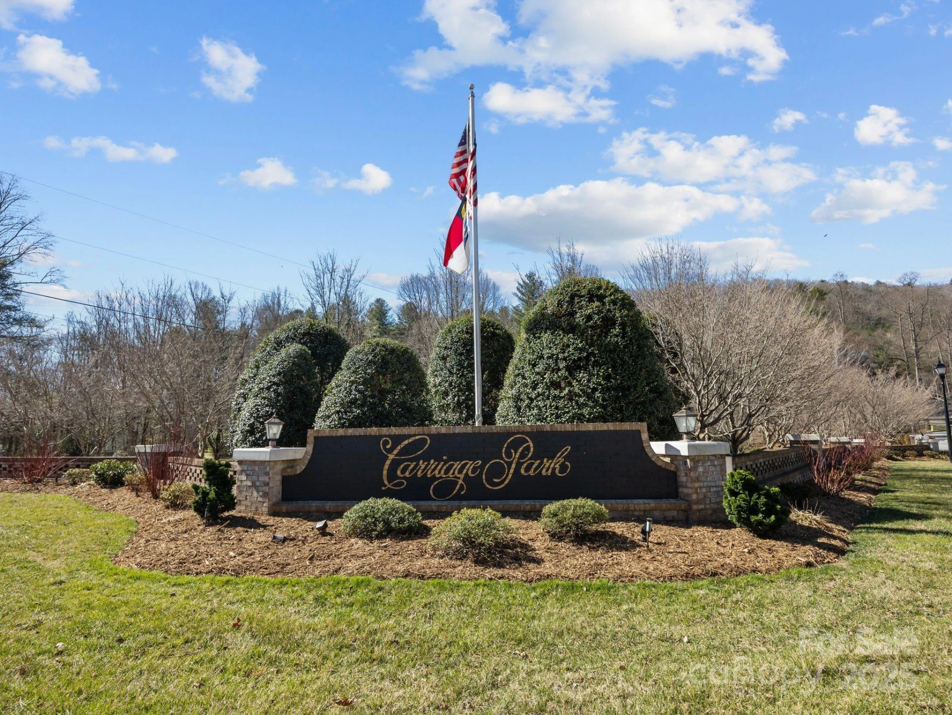 123 Carriage Walk Lane - Photo 38