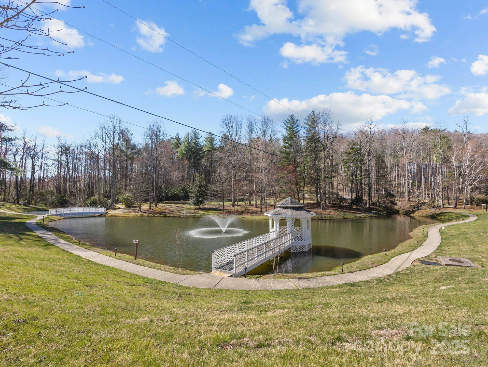 123 Carriage Walk Lane - Photo 42