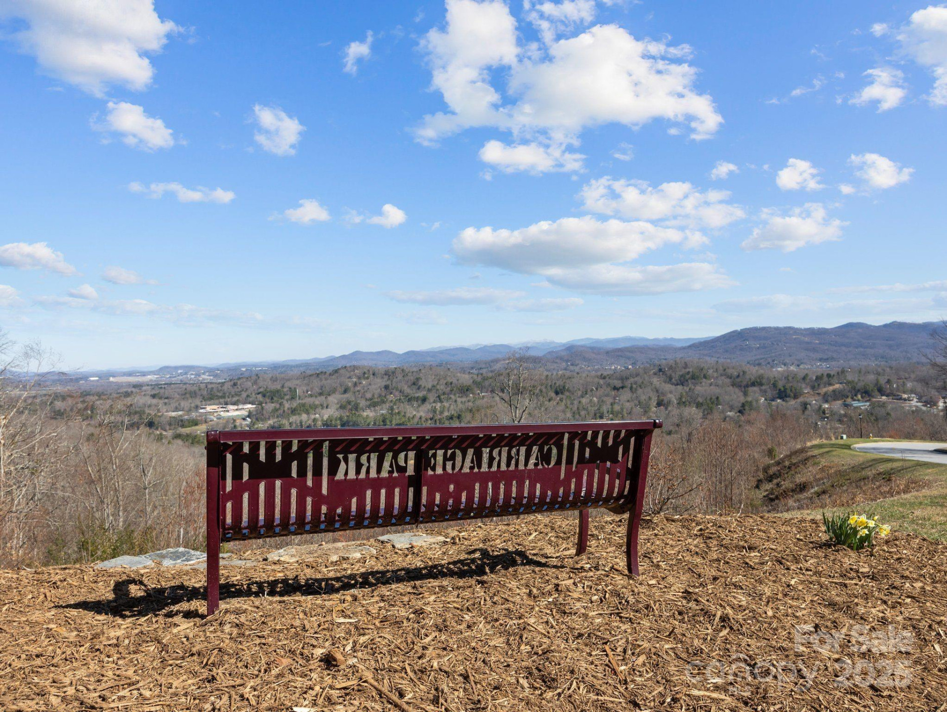 123 Carriage Walk Lane - Photo 43