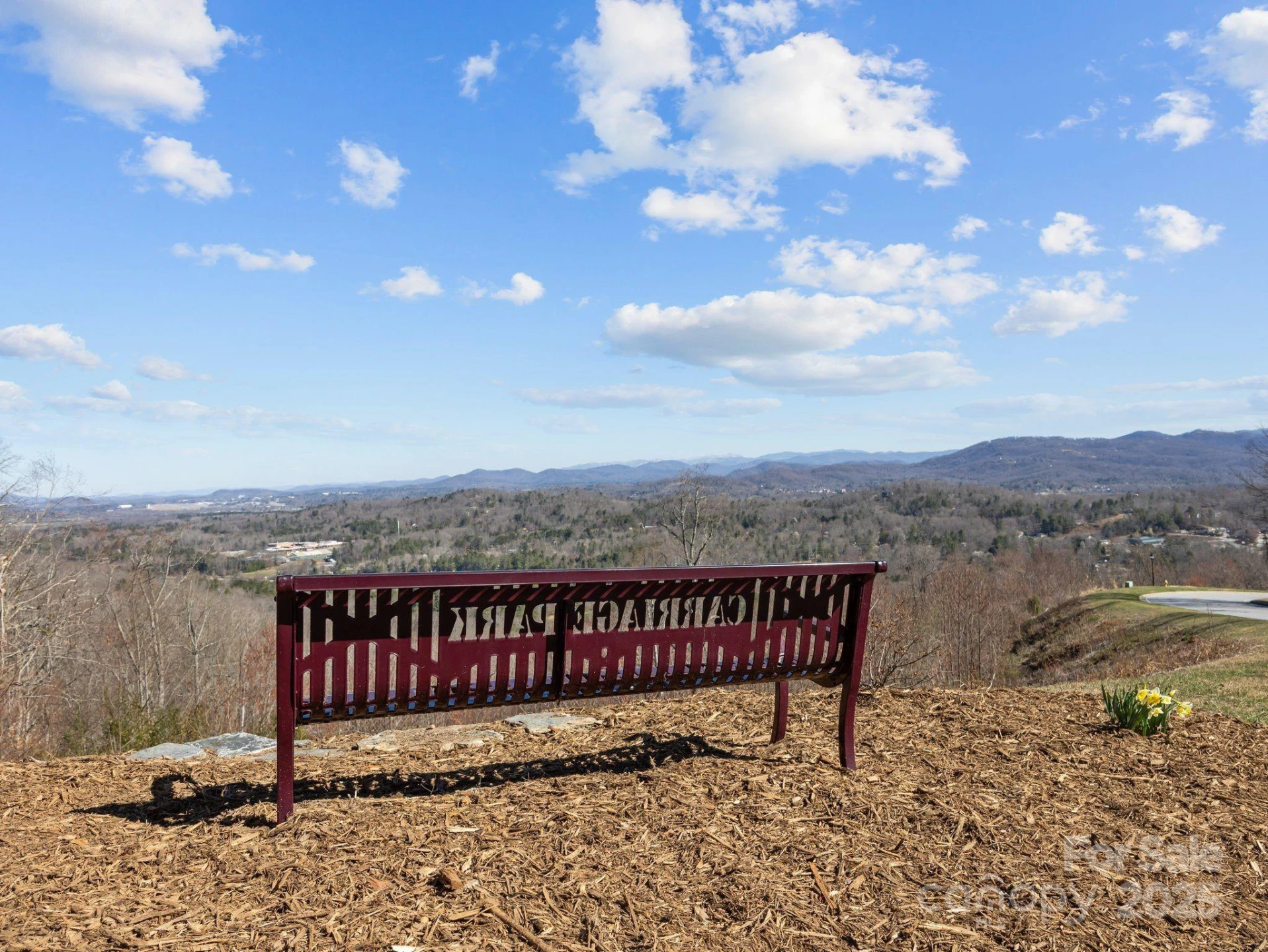 123 Carriage Walk Lane - Photo 43