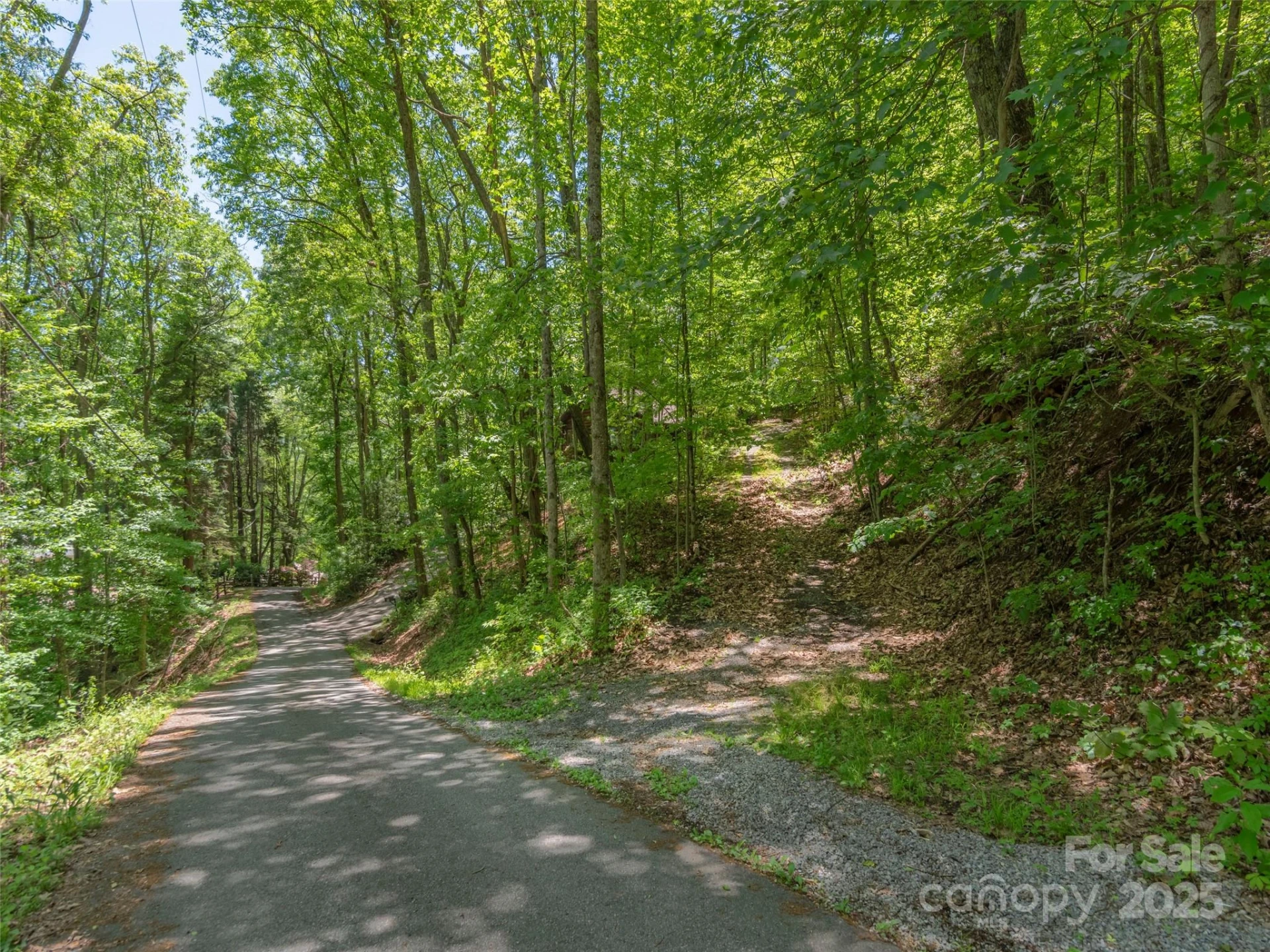 00 Skyline Drive - Photo 3