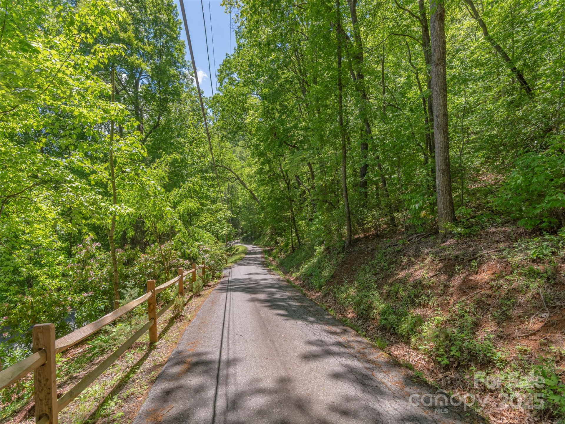 00 Skyline Drive - Photo 4