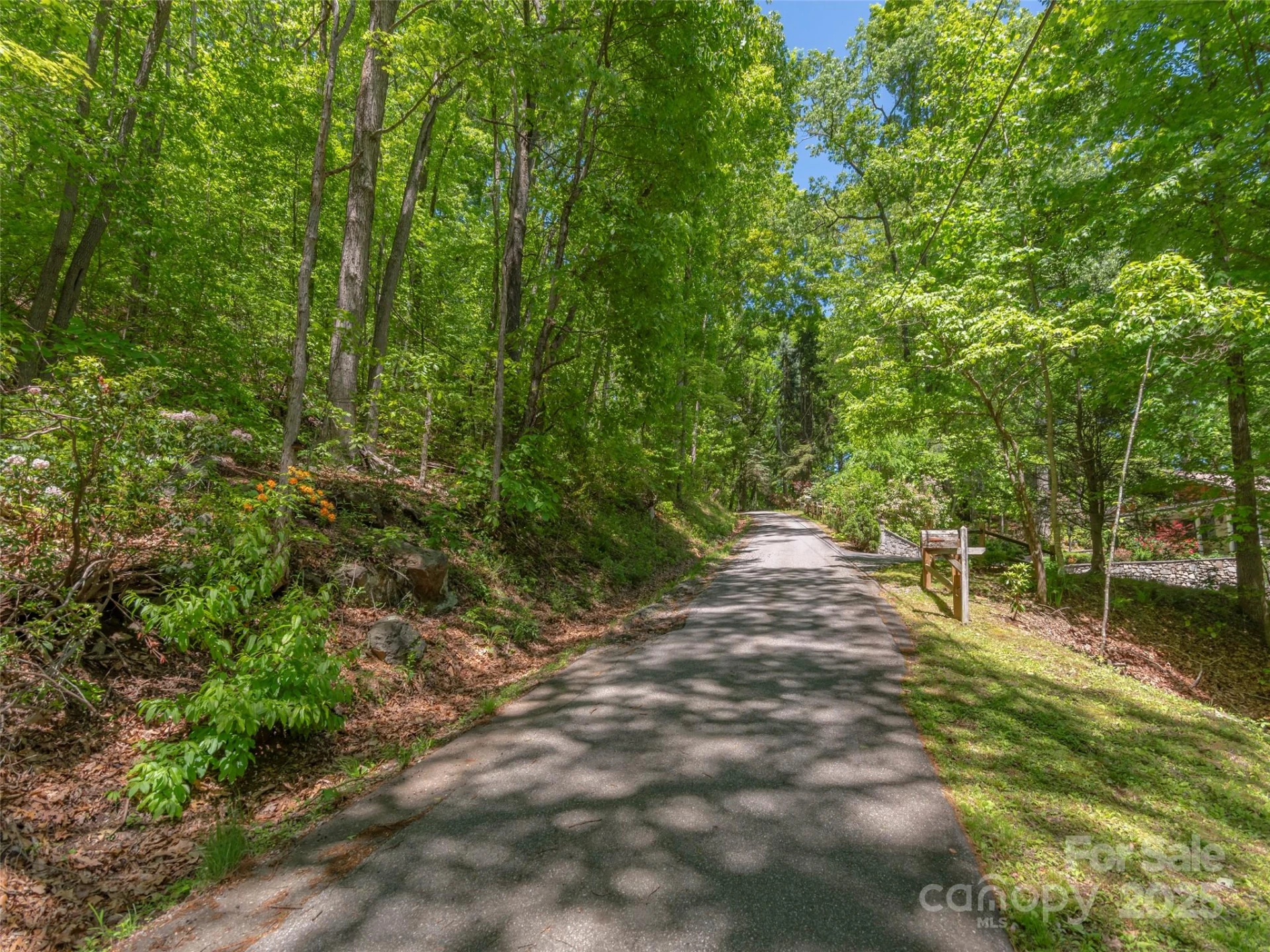 00 Skyline Drive - Photo 5
