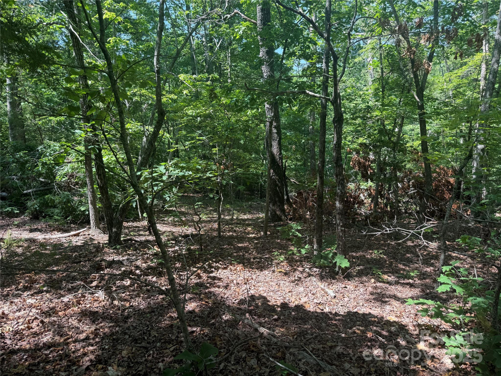 0 Crescent Ridge Lane #373 - Photo 2