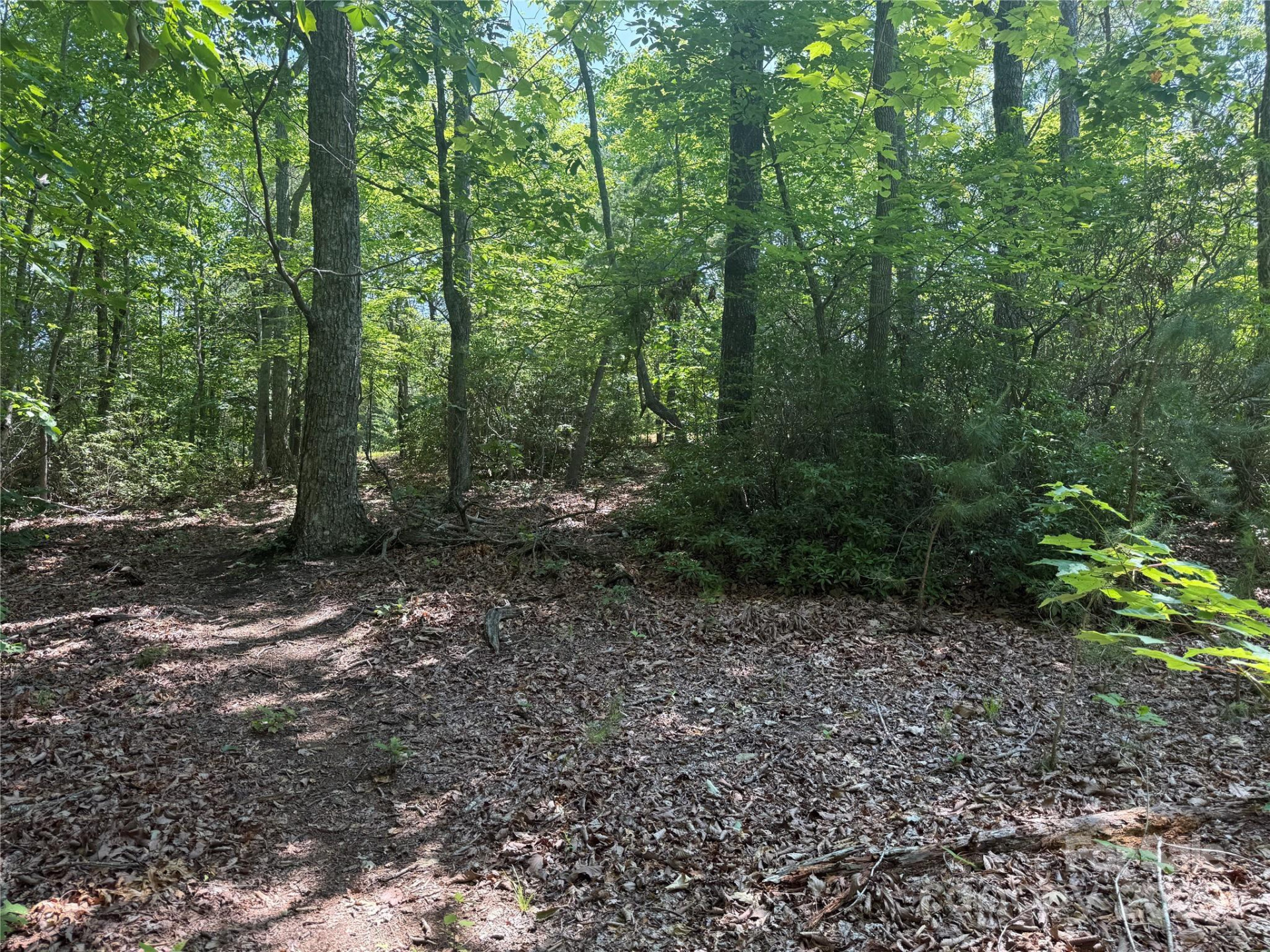 0 Crescent Ridge Lane #373 - Photo 11