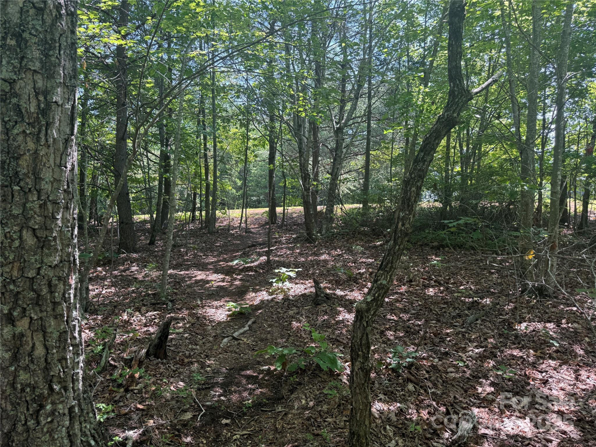 0 Crescent Ridge Lane #373 - Photo 12