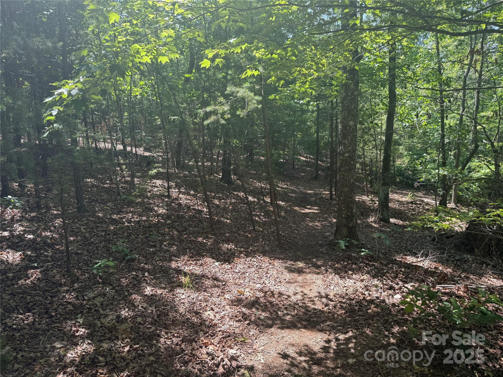 0 Crescent Ridge Lane #373 - Photo 15