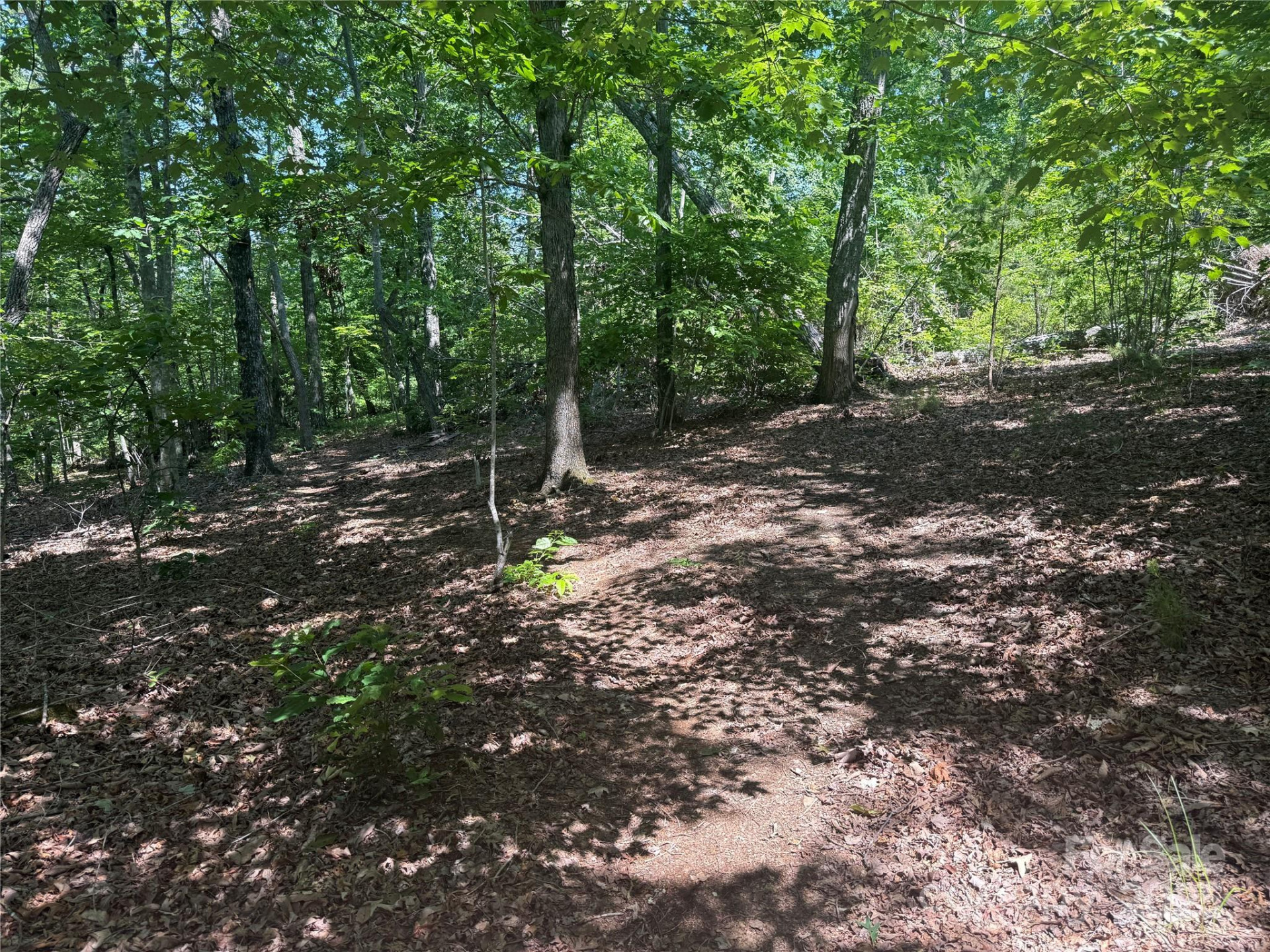 0 Crescent Ridge Lane #373 - Photo 16