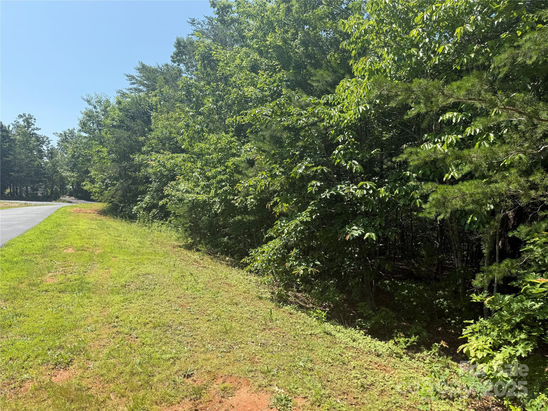 0 Crescent Ridge Lane #373 - Photo 19