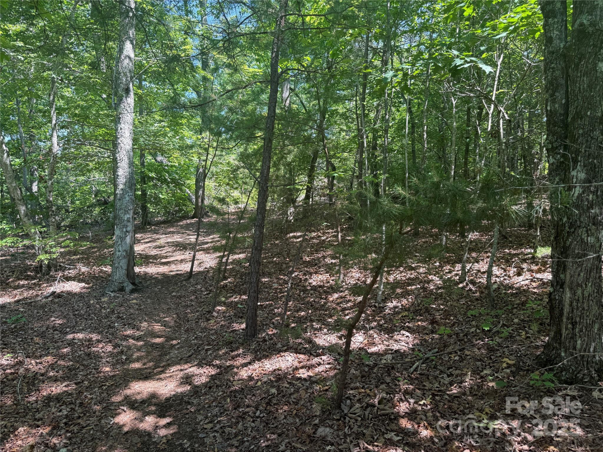 0 Crescent Ridge Lane #373 - Photo 3