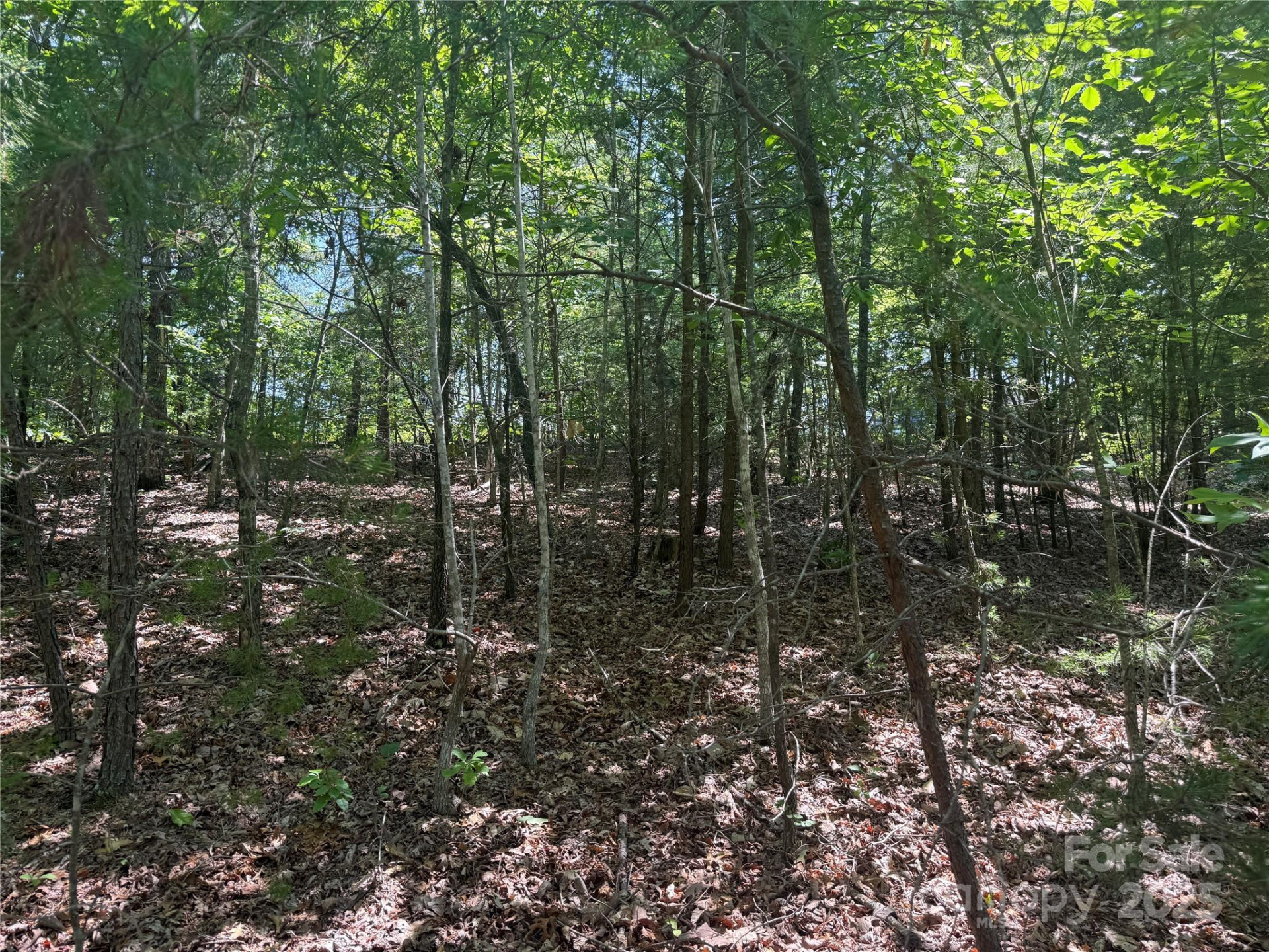 0 Crescent Ridge Lane #373 - Photo 4