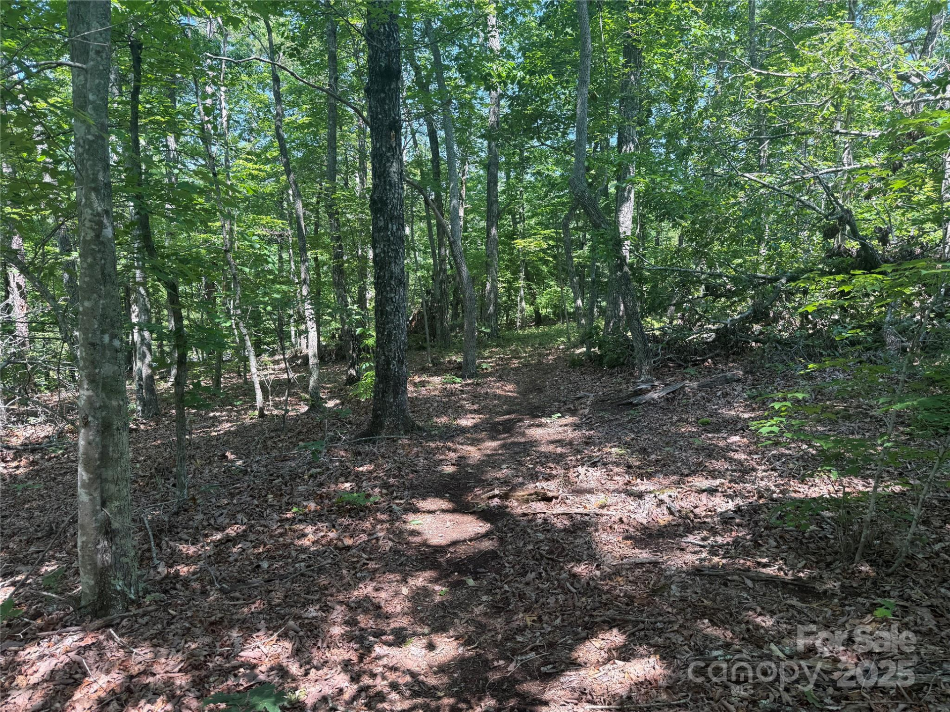 0 Crescent Ridge Lane #373 - Photo 5