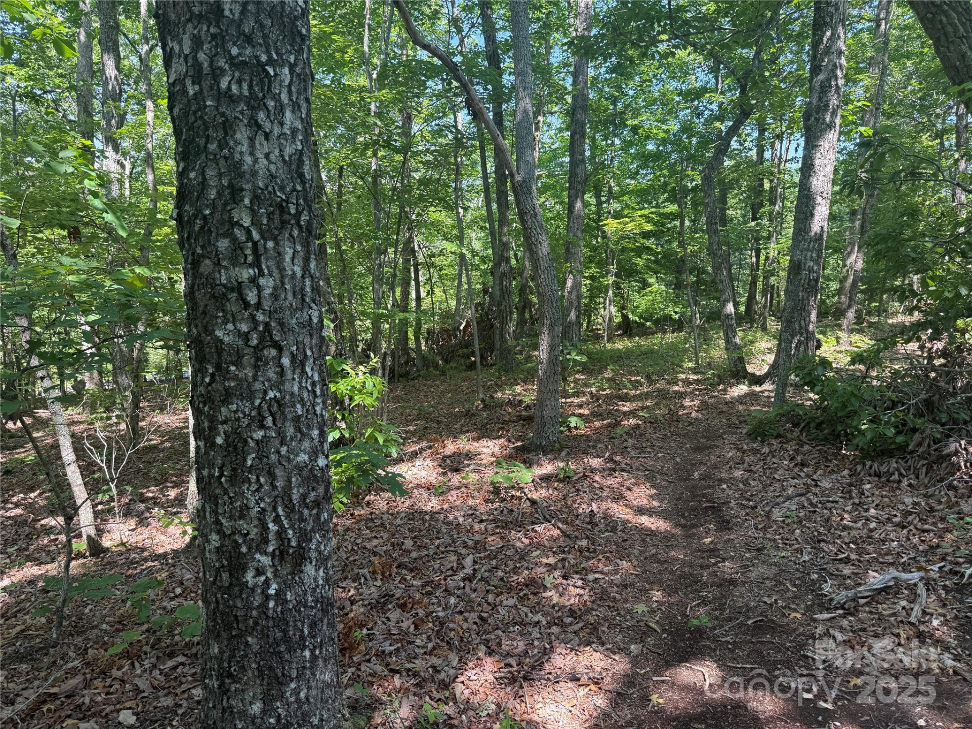 0 Crescent Ridge Lane #373 - Photo 8